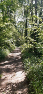 03-Reinhard-Boest_12-05-2022_Aufstieg-Web