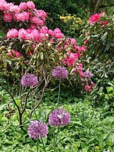 2-Web_Margaretha-Mazura_Mai-2021_TEN-BOSCH_BXL