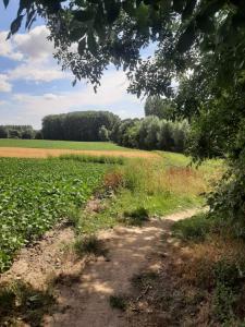 2022_08_08_Michael-Stabenow_Pays-des-Collines_IMG-20220808-WA0000-Web