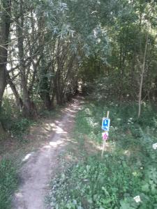 2022_08_08_Michael-Stabenow_Pays-des-Collines_IMG-20220808-WA0002-Web