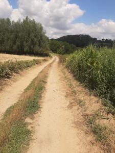 2022_08_08_Michael-Stabenow_Pays-des-Collines_IMG-20220808-WA0004-Web