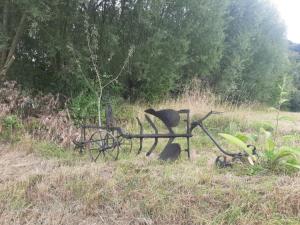 2022_08_08_Michael-Stabenow_Pays-des-Collines_IMG-20220808-WA0006-Web