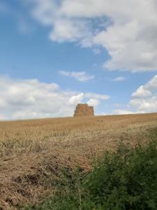 2022_08_08_Michael-Stabenow_Pays-des-Collines_IMG-20220808-WA0007-Web