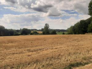 2022_08_08_Michael-Stabenow_Pays-des-Collines_IMG-20220808-WA0008-Web