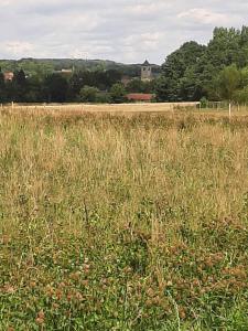 2022_08_08_Michael-Stabenow_Pays-des-Collines_IMG-20220808-WA0010-Web