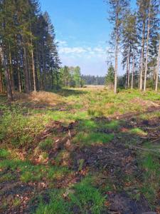 2023_05_18_Michael-Stabenow_Stausee-Eupen_IMG-20230518-WA0003-Web