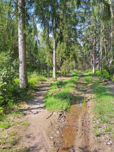 2023_05_18_Michael-Stabenow_Stausee-Eupen_IMG-20230518-WA0004-Web