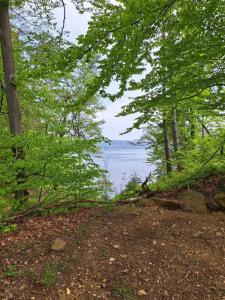 2023_05_18_Michael-Stabenow_Stausee-Eupen_IMG-20230518-WA0007-Web