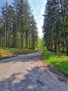 2023_05_18_Michael-Stabenow_Stausee-Eupen_IMG-20230518-WA0008-Web