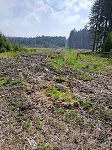 2023_05_18_Michael-Stabenow_Stausee-Eupen_IMG-20230518-WA0010-Web