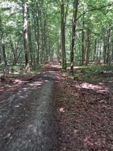 2023_07_09_Schattenwanderung_Michael-Stabenow_IMG-20230709-WA0002-Web