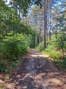 2023_07_09_Schattenwanderung_Michael-Stabenow_IMG-20230709-WA0003-Web