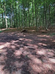 2023_07_09_Schattenwanderung_Michael-Stabenow_IMG-20230709-WA0004-Web