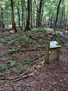 2023_07_09_Schattenwanderung_Michael-Stabenow_IMG-20230709-WA0005-Web