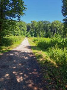 2023_07_09_Schattenwanderung_Michael-Stabenow_IMG-20230709-WA0006-Web