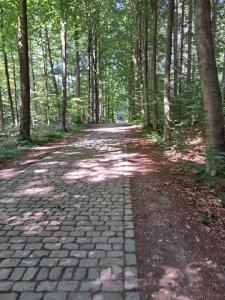 2023_07_09_Schattenwanderung_Michael-Stabenow_IMG-20230709-WA0007-Web