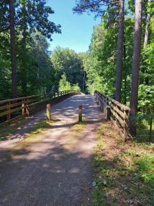 2023_07_09_Schattenwanderung_Michael-Stabenow_IMG-20230709-WA0008-Web