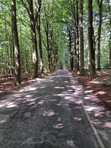 2023_07_09_Schattenwanderung_Michael-Stabenow_IMG-20230709-WA0009-Web