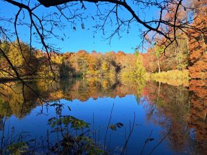 2025_11_15_Herbstfotos_Michael-Stabenow_IMG-20251107-WA0004-Web