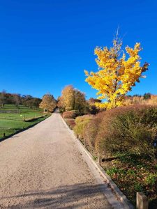 2025_11_15_Herbstfotos_Michael-Stabenow_IMG-20251107-WA0005-Web