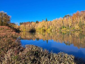 2025_11_15_Herbstfotos_Michael-Stabenow_IMG-20251107-WA0006-Web