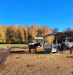 2025_11_15_Herbstfotos_Michael-Stabenow_IMG-20251107-WA0009-Web