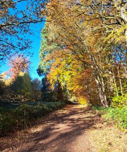 2025_11_15_Herbstfotos_Michael-Stabenow_IMG-20251107-WA0010-Web