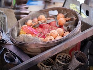 2026_02_15_Karnevalsumzug-Aalst_by_Hanna-Penzer_BI_photo_2026-02-20 10.20.41