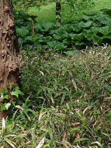 5-Web_Margaretha-Mazura_Mai-2021_TEN-BOSCH_BXL