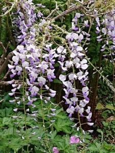 8-Web_Margaretha-Mazura_Mai-2021_TEN-BOSCH_BXL