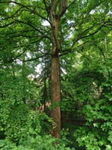 9-Web_Margaretha-Mazura_Mai-2021_TEN-BOSCH_BXL