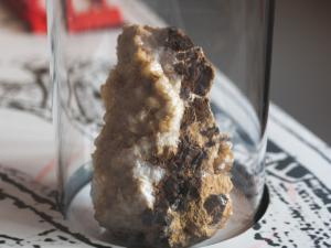 MVM Geoffrey Coonen (7) Web