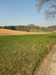 Brabanter Hügellandschaft bei Tombeek