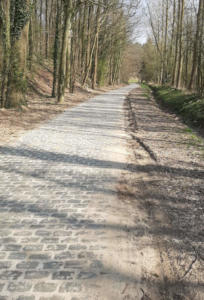 Neues Kopfsteinpflaster: Mommaertsstraat in Tombeek