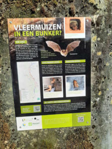 Hier hausen Fledermäuse: Ein Bunker aus dem Zweiten Weltkrieg in Terlanen