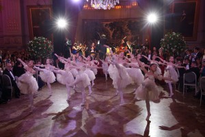 20170222 WienerBall 05