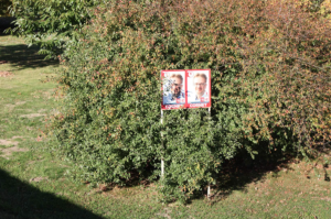 20181013 Wahlplakate 15 (1)