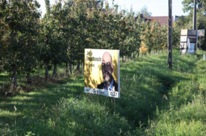 20181013 Wahlplakate 17