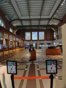 20251113 150018 resized