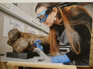 20260226 121319 resized