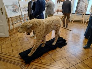 20260226 121840 resized