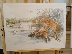 20260226 122254 resized