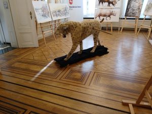 20260226 142100 resized