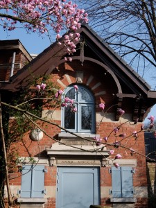 2 2 Magnolie vor dem Wärterhäuschen