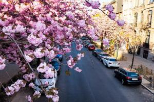 33099365674 b79d2208cd c