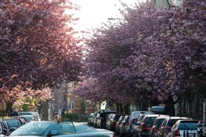 33099367194 f5f4334ec3 c