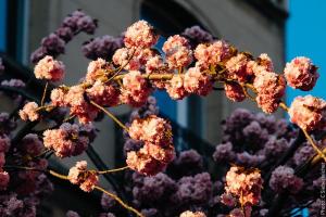 33129886753 7ec1911d75 c