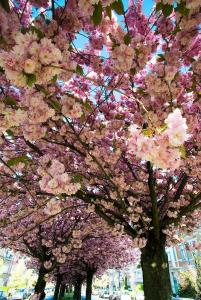 33557605340 4d6386684e c