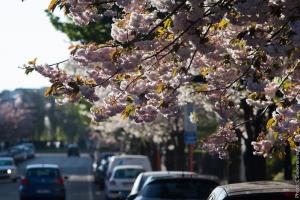 33557606080 82e6f59628 c