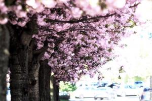 33557608630 5a832c9bb3 c